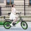 Hidoes C1 Folding E-Bike